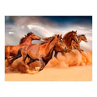 Алмазная мозаика Табун резвых лошадей 30х40 см Рыжий Кот AC34038