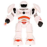 Робот интерактивный Супербот Технодрайв 1804B236-R1S